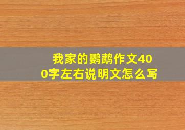 我家的鹦鹉作文400字左右说明文怎么写