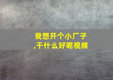 我想开个小厂子,干什么好呢视频