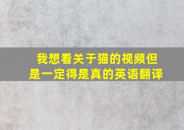 我想看关于猫的视频但是一定得是真的英语翻译