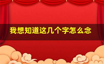 我想知道这几个字怎么念