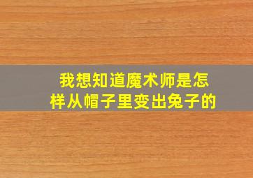 我想知道魔术师是怎样从帽子里变出兔子的