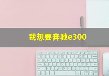 我想要奔驰e300