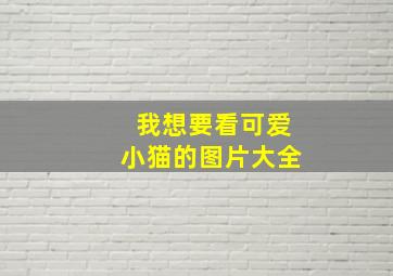 我想要看可爱小猫的图片大全