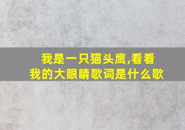 我是一只猫头鹰,看看我的大眼睛歌词是什么歌