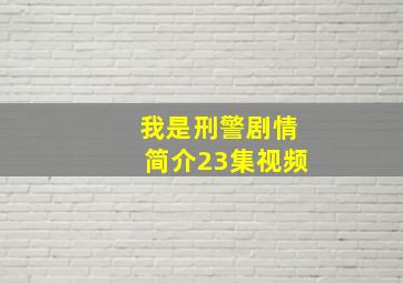 我是刑警剧情简介23集视频