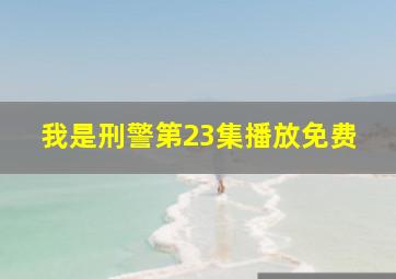 我是刑警第23集播放免费