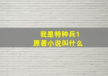 我是特种兵1原著小说叫什么