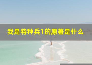 我是特种兵1的原著是什么