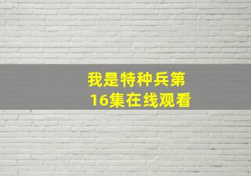 我是特种兵第16集在线观看