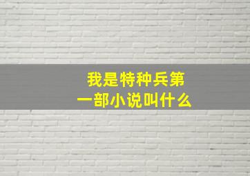 我是特种兵第一部小说叫什么