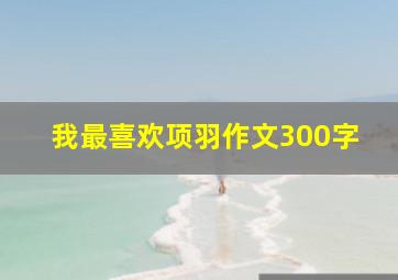 我最喜欢项羽作文300字