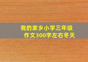 我的家乡小学三年级作文300字左右冬天