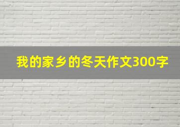 我的家乡的冬天作文300字