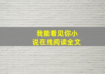 我能看见你小说在线阅读全文