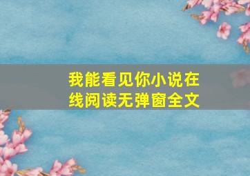 我能看见你小说在线阅读无弹窗全文