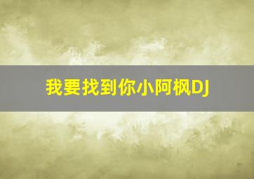 我要找到你小阿枫DJ