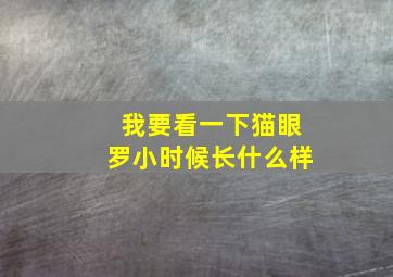 我要看一下猫眼罗小时候长什么样