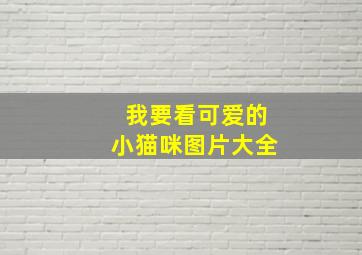 我要看可爱的小猫咪图片大全