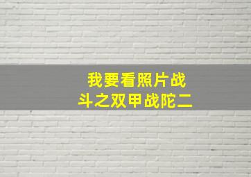 我要看照片战斗之双甲战陀二