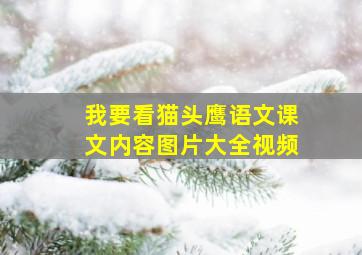 我要看猫头鹰语文课文内容图片大全视频