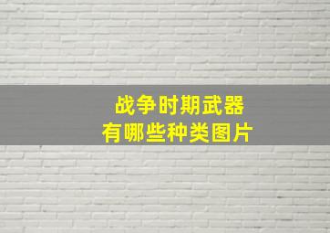 战争时期武器有哪些种类图片