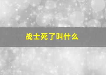 战士死了叫什么