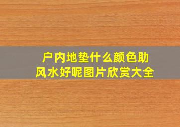 户内地垫什么颜色助风水好呢图片欣赏大全