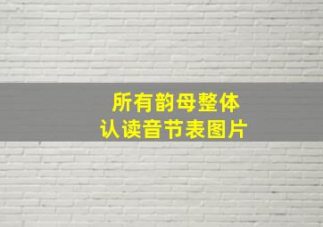 所有韵母整体认读音节表图片