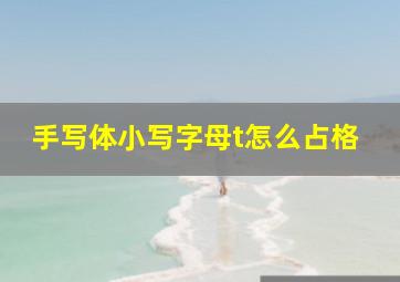 手写体小写字母t怎么占格