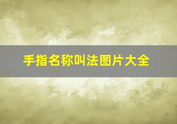 手指名称叫法图片大全