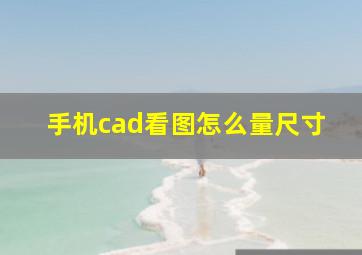 手机cad看图怎么量尺寸