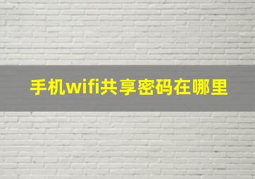 手机wifi共享密码在哪里