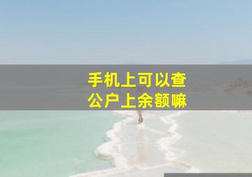 手机上可以查公户上余额嘛