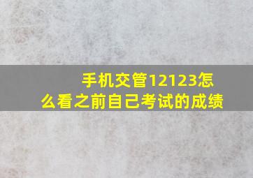 手机交管12123怎么看之前自己考试的成绩