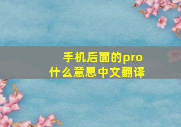 手机后面的pro什么意思中文翻译