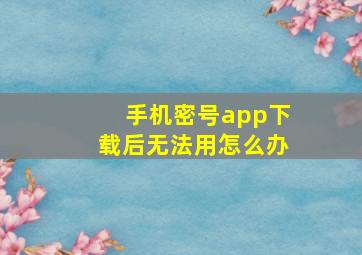 手机密号app下载后无法用怎么办