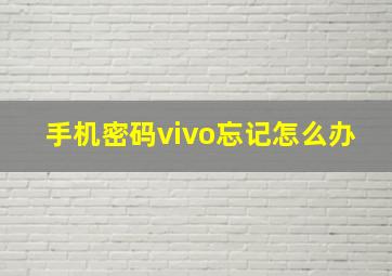 手机密码vivo忘记怎么办