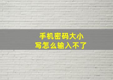 手机密码大小写怎么输入不了