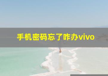 手机密码忘了咋办vivo