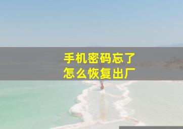 手机密码忘了怎么恢复出厂