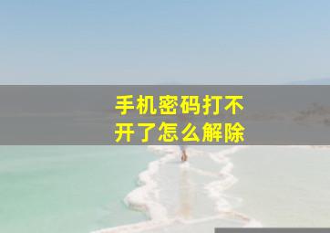 手机密码打不开了怎么解除