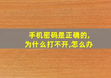 手机密码是正确的,为什么打不开,怎么办