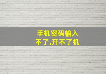 手机密码输入不了,开不了机