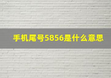 手机尾号5856是什么意思