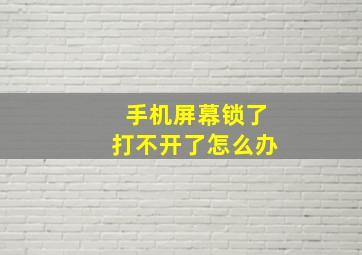 手机屏幕锁了打不开了怎么办