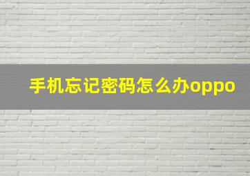 手机忘记密码怎么办oppo