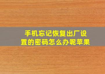 手机忘记恢复出厂设置的密码怎么办呢苹果