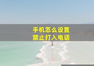 手机怎么设置禁止打入电话