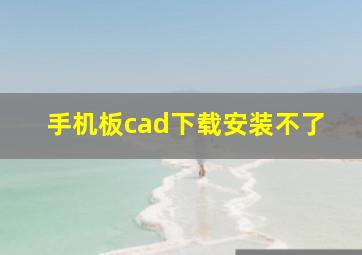 手机板cad下载安装不了