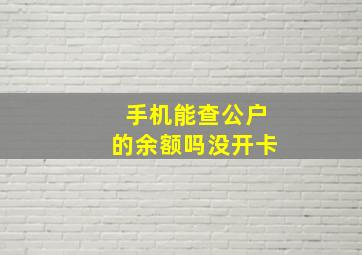 手机能查公户的余额吗没开卡